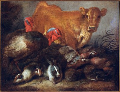 Studio di animali: mucca, tacchino, coniglio da Giovanni Benedetto Castiglione