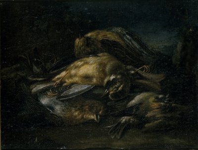 Uccello morto da Giovanni Benedetto Castiglione