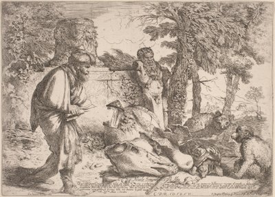 Diogene alla ricerca di un uomo onesto da Giovanni Benedetto Castiglione