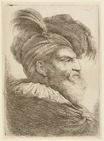 Testa di uomo barbuto con cappello piumato da Giovanni Benedetto Castiglione