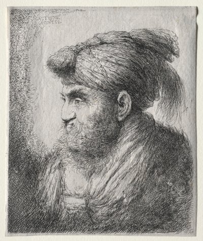 Testa di un uomo con turbante orientale da Giovanni Benedetto Castiglione