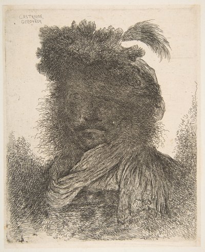 Testa di un uomo in ombra leggermente girata a sinistra, dalla serie di Grandi Or..., ca. 1645-1650 da Giovanni Benedetto Castiglione