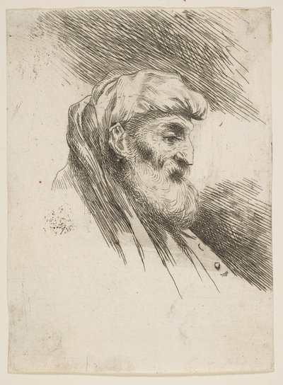 Testa di un vecchio barbuto rivolto a destra, dalla serie di Piccole Teste in Oriente da Giovanni Benedetto Castiglione