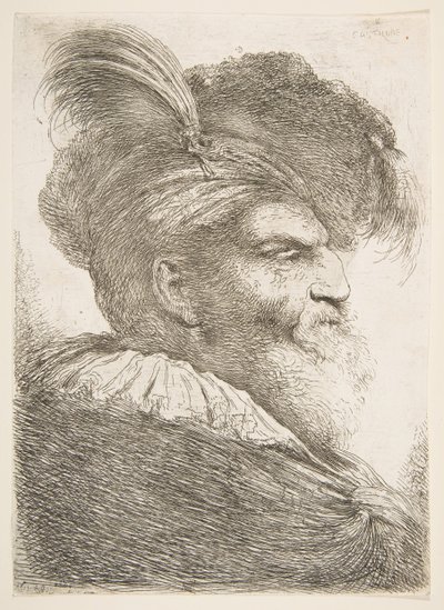 Testa di un vecchio rivolto a destra, dalla serie di Grandi Teste Orientali da Giovanni Benedetto Castiglione