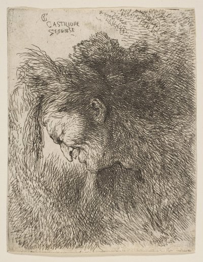 Testa di un vecchio che guarda in basso, rivolto a sinistra, dalla serie di Piccole Teste da Giovanni Benedetto Castiglione