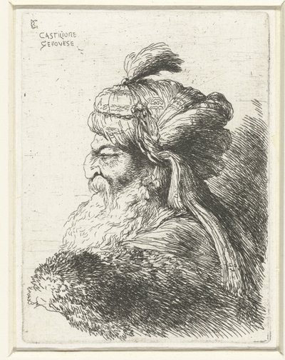 Testa di un vecchio con turbante da Giovanni Benedetto Castiglione