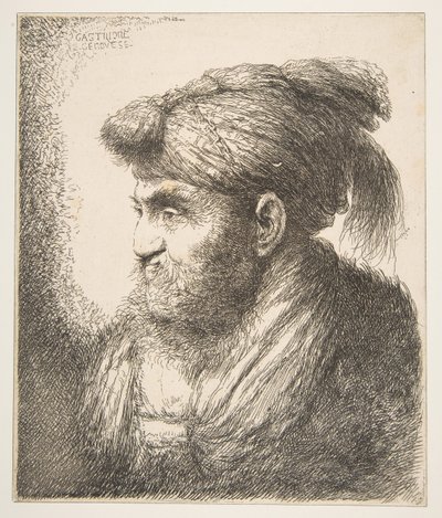 Uomo con turbante rivolto a sinistra, dalla serie di Grandi Teste Orientali da Giovanni Benedetto Castiglione