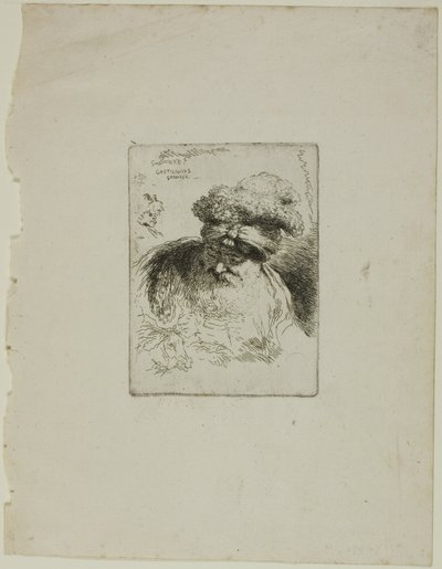 Vecchio con turbante da Giovanni Benedetto Castiglione