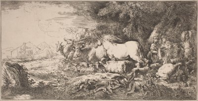 Gli animali verso l