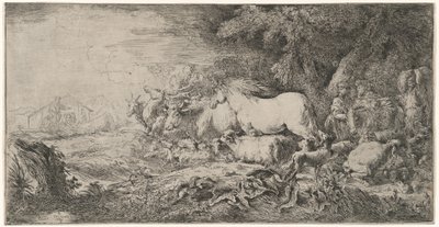 Gli Animali Verso l