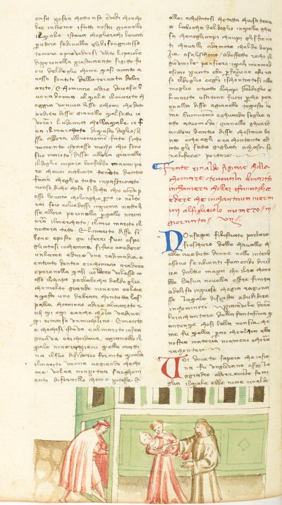 Decamerone, Il mangiatore di vermi Rinaldo che maltratta il marito di Agnesa, Settima giornata, racconto 3. da Giovanni Boccaccio