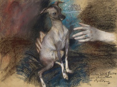 Signora elegante con un cane da Giovanni Boldini