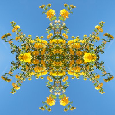 Unnatural 193 da Giovanni Cafagna