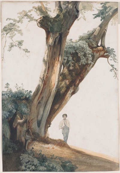 Alberi antichi nella campagna romana da Giovanni Costa