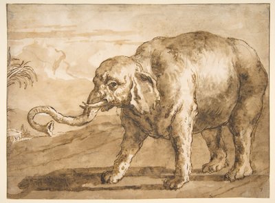 Elefante in un paesaggio da Giovanni Domenico Tiepolo