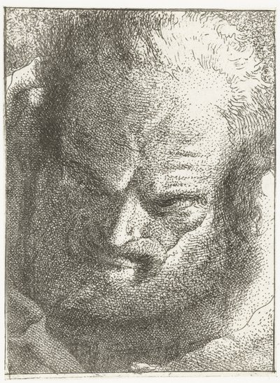 Uomo guarda in basso da Giovanni Domenico Tiepolo