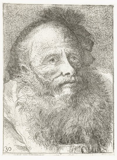 Uomo con barba e copricapo con piuma da Giovanni Domenico Tiepolo