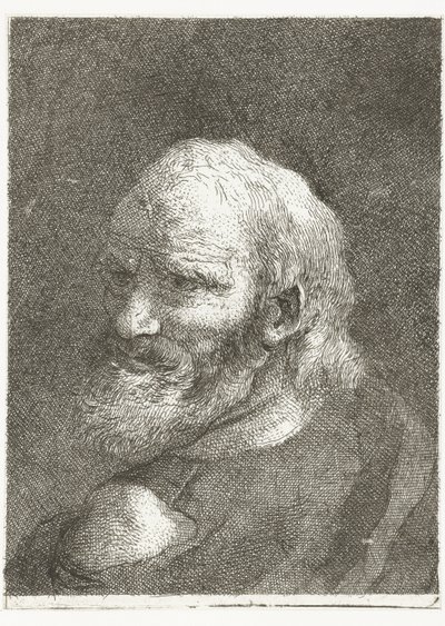 Uomo con spalla scoperta da Giovanni Domenico Tiepolo