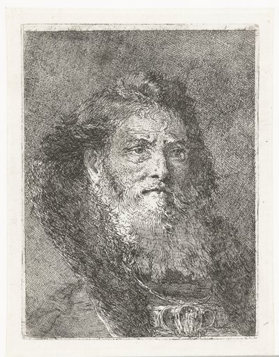 Uomo senza copricapo (Raccolta di Teste) da Giovanni Domenico Tiepolo