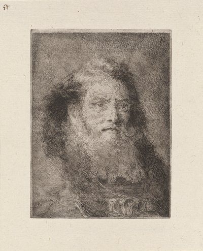 Vecchio con testa scoperta, dalla Raccolta di Teste da Giovanni Domenico Tiepolo