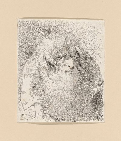 Vecchio con barba e capelli lunghi, dalla Raccolta di Teste da Giovanni Domenico Tiepolo
