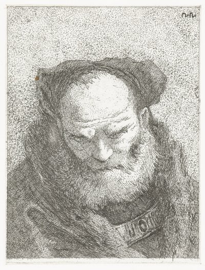 Vecchio con barba e testa china da Giovanni Domenico Tiepolo