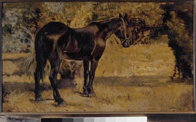 Cavallo scuro da Giovanni Fattori