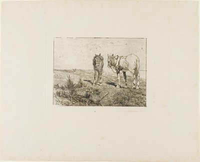 Riposo dei cavalli da Giovanni Fattori