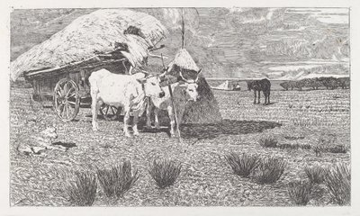 Buoi al carro (Maremma) da Giovanni Fattori