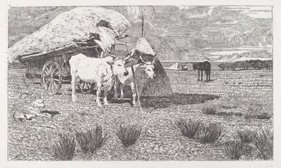 Buoi al Carro (Maremma) da Giovanni Fattori