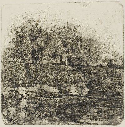 Alberi in un prato da Giovanni Fattori