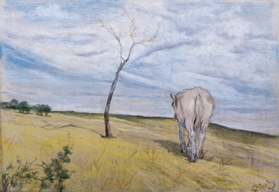 Cavallo bianco da Giovanni Fattori
