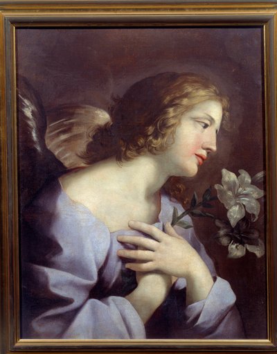 Angelo dell