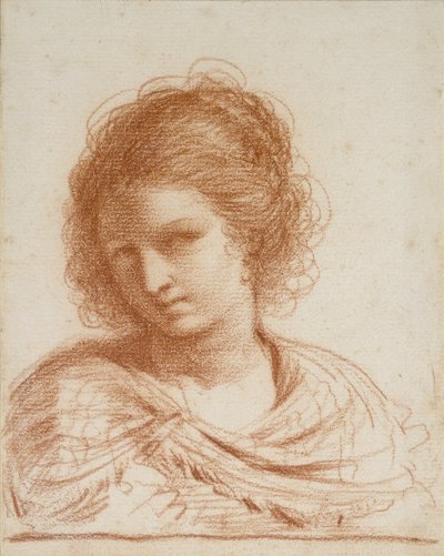Testa di una Giovane Donna, 1650 - 1666 da Giovanni Francesco Barbieri