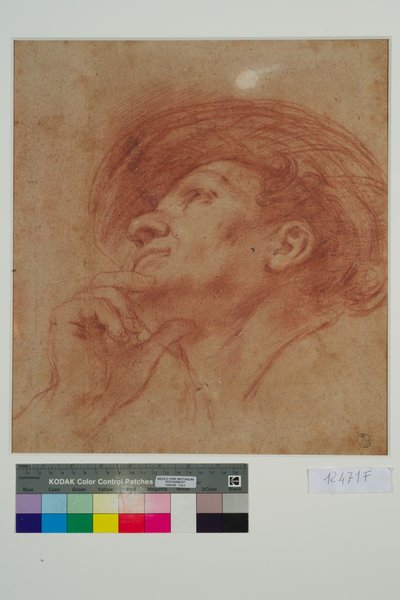 Studio per la testa del profeta Aggeo da Giovanni Francesco Barbieri