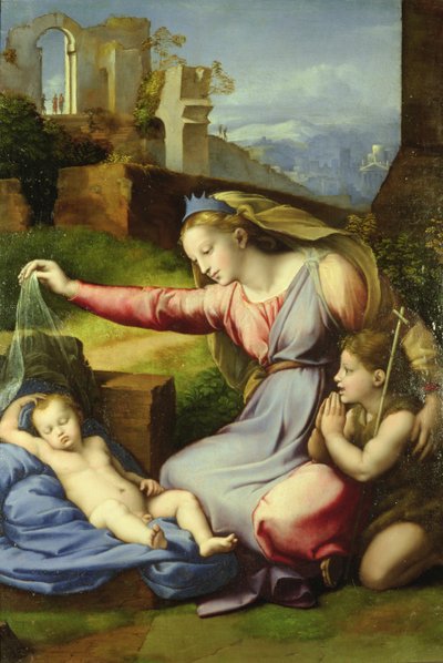 Vergine del Velo (La Vergine del Diadema Blu) da Giovanni Francesco Penni