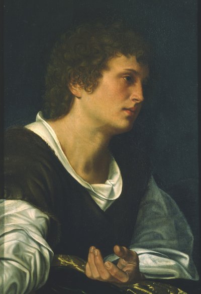 San Giovanni Evangelista da Giovanni Girolamo Savoldo