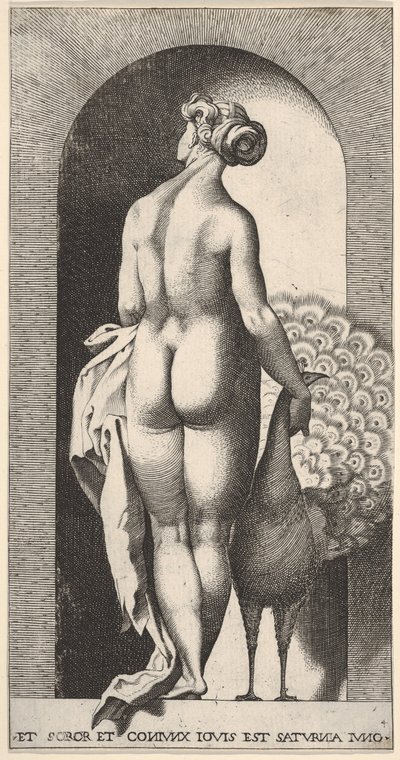 Tavola 4: Giunone in piedi in una nicchia, vista da dietro, accarezza un pavone alla sua destra, fr..., 1526 da Giovanni Jacopo Caraglio