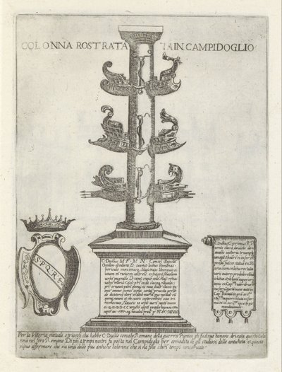 Colonna rostrata da Giovanni Maggi
