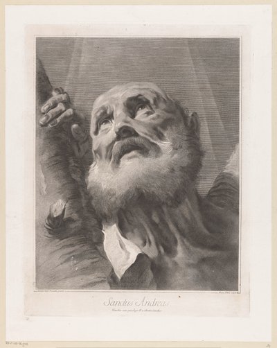 Apostolo Andrea da Giovanni Marco Pitteri