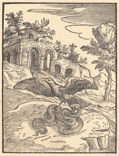 Uccello e serpente da Giovanni Maria Verdizotti