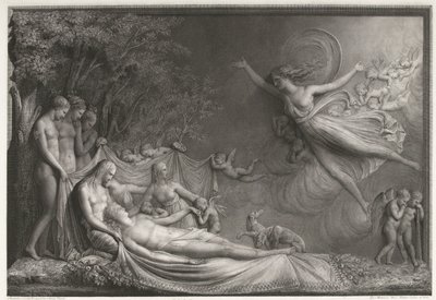 La morte di Adone da Giovanni Martino dei Boni