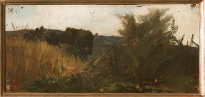 Studio della vegetazione da Giovanni Muzzioli