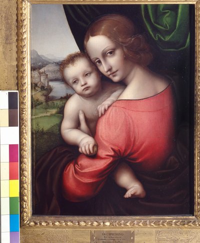 Madonna col Bambino (Nostra Signora della Mela), c.1525 da Giovanni Pietro Rizzoli Giampietrino
