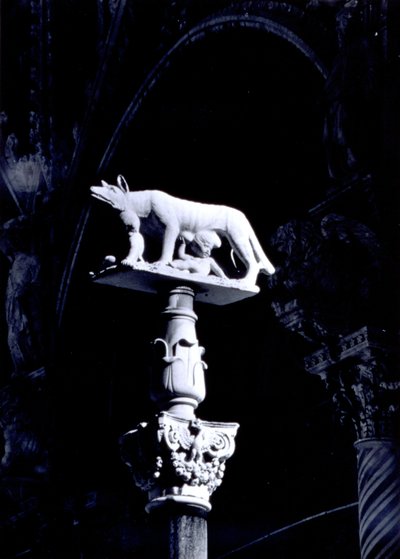 La lupa senese, con i gemelli Romolo e Remo, facciata della Piazza del Duomo da Giovanni Pisano