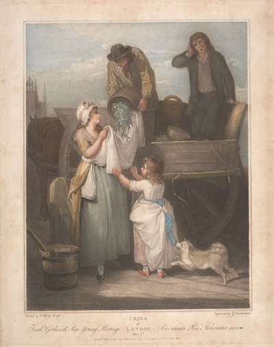 Piselli freschi raccolti, Giovane Hastings da Giovanni Vendramini