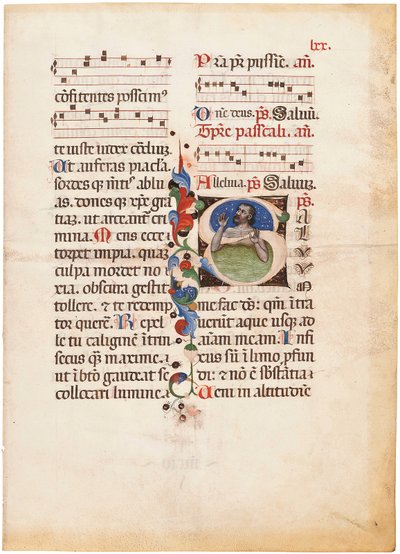 Il Salmista nel mare, iniziale "S" su un foglio di un Breviario miniato, Bologna o Ferrara, 1440 circa (inchiostro e colore su pergamena) da Giovanni di Antonio da Bologna