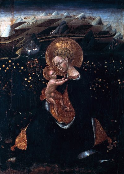 Vergine dell
