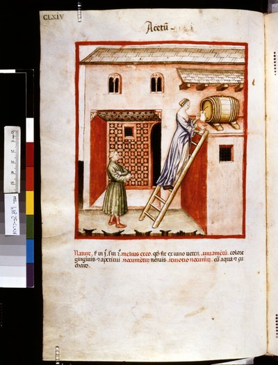 Theatrum sanitatis di Ububchasym de Baldach: 