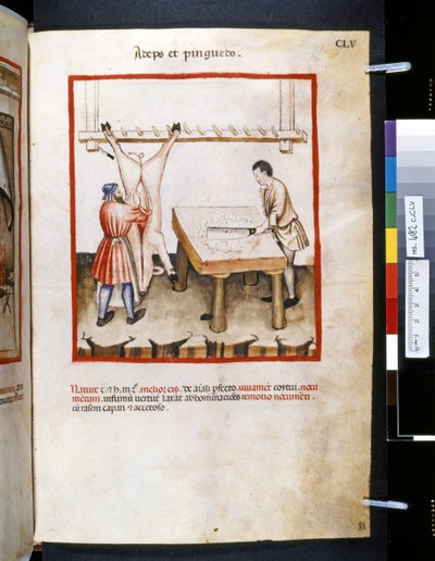 Theatrum sanitatis di Ububchasym de Baldach: 